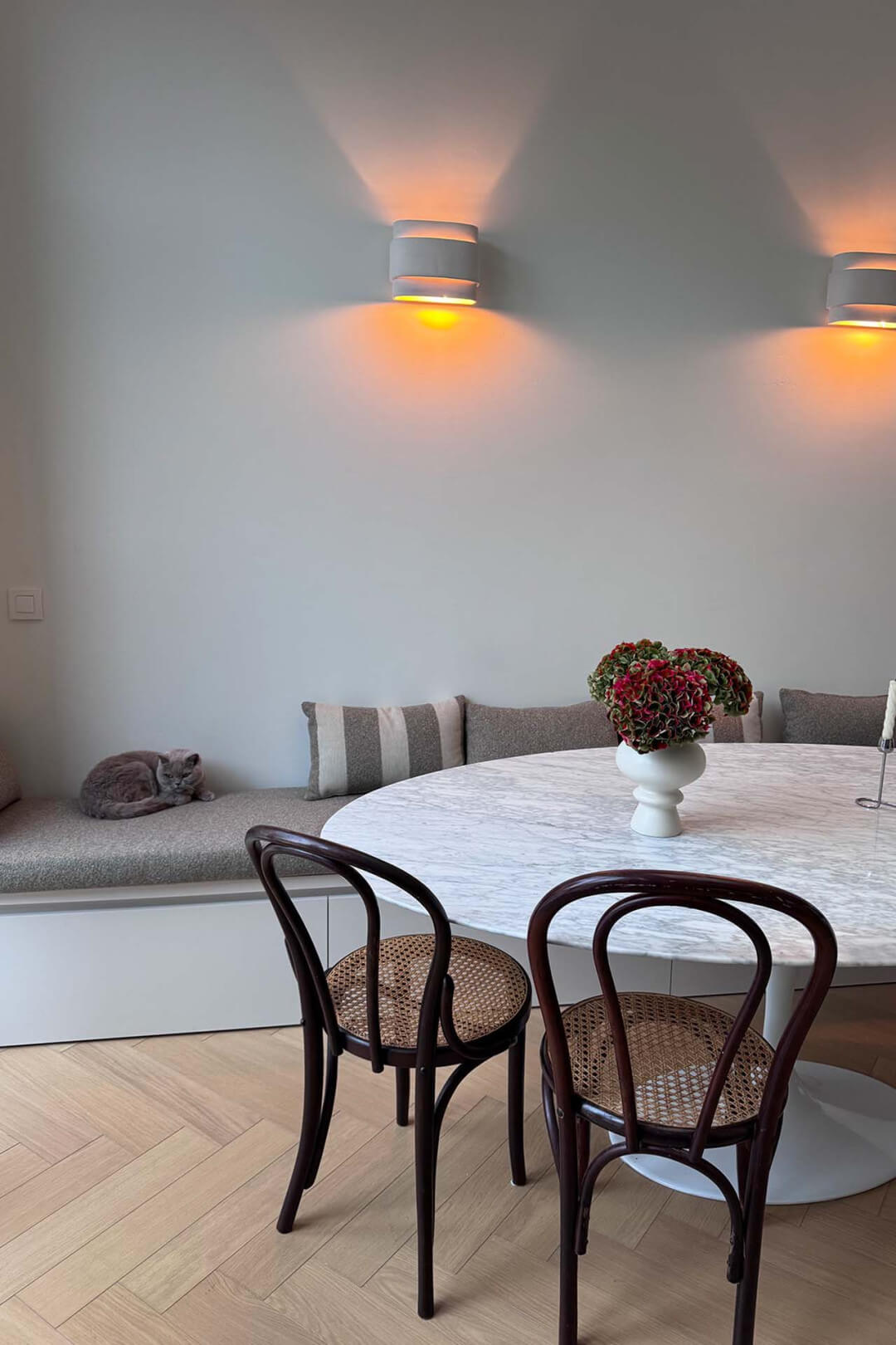 Le British Shorthair est allongé sur le canapé sur mesure couleur coquillage avec poignées