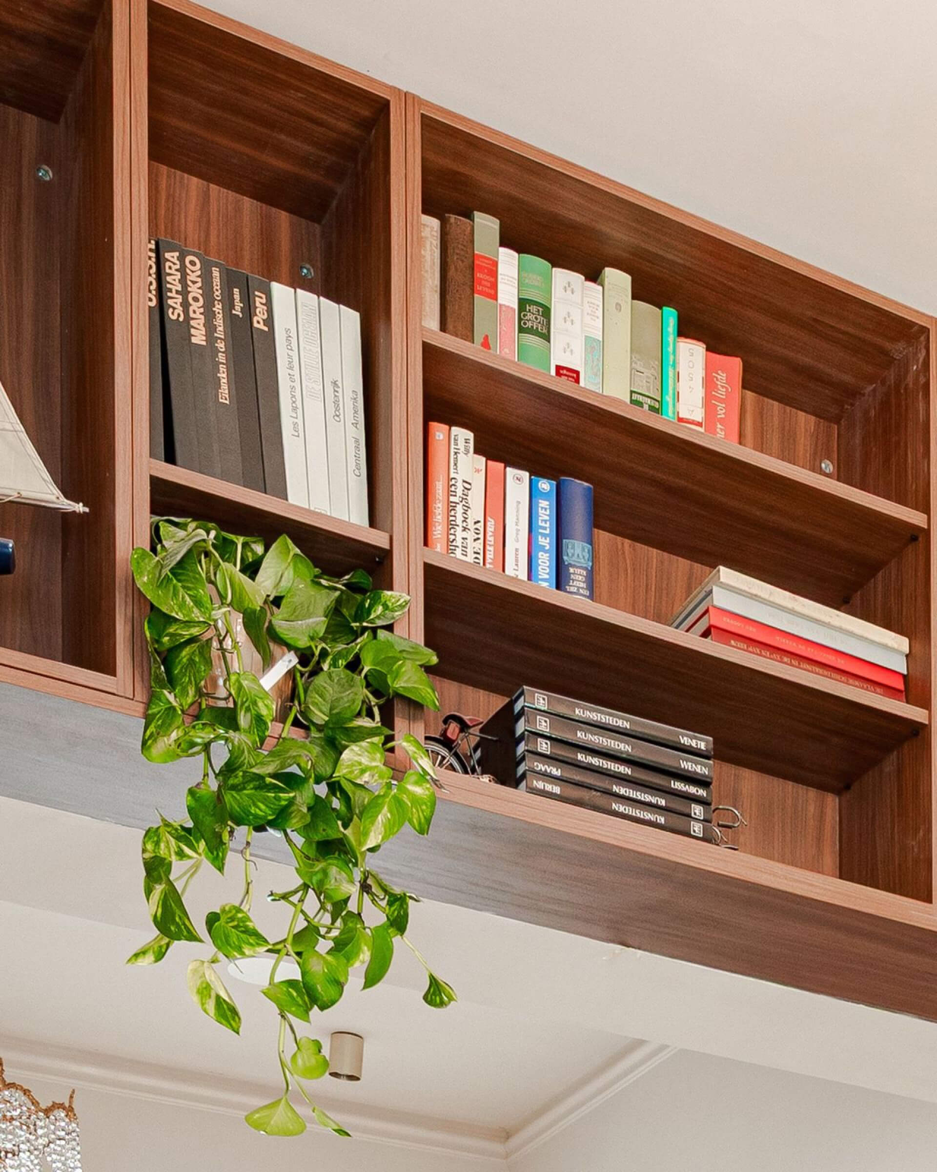 Bibliothèque ouverte sur mesure en noyer au-dessus d’un passage, avec des livres et une plante suspendue