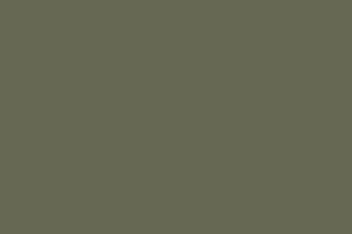 Couleur uni appelée 'Green Shadow' pour votre armoire sur mesure de Custoro