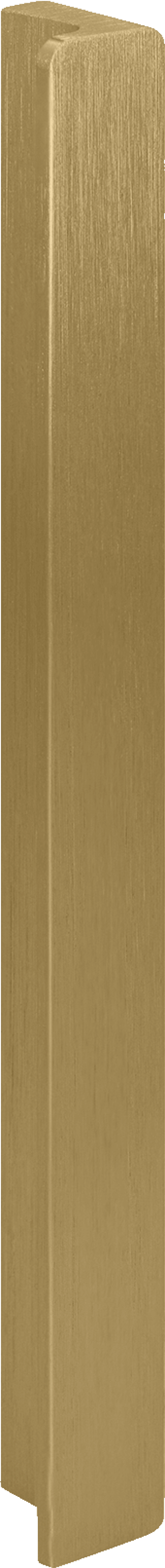 Barre en laiton de 20 cm de long, verticale. Poignée provenant de la boutique en ligne Maatkasten.
